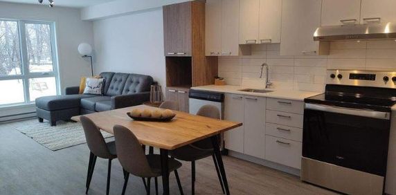 1 CH - 1 SDB - Laval - $1,520 /mo - Photo 2