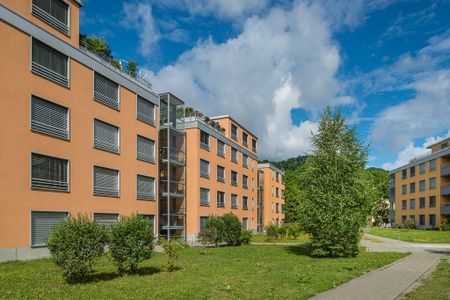 Zeit zum Geniessen - Loggia UND Sitzplatz - Foto 5