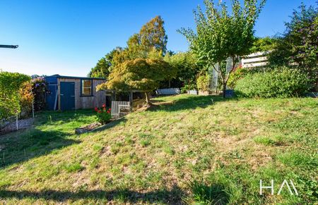 6 Francis Street, Riverside - Photo 4