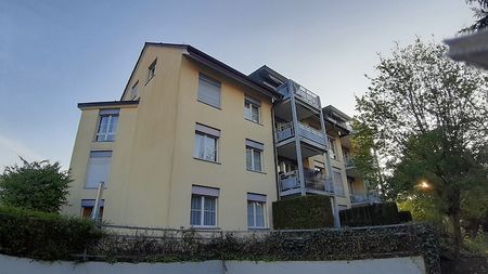 3½ Zimmer-Wohnung in Weinfelden (TG), möbliert, auf Zeit - Foto 4