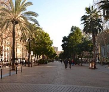 barcelona, Catalonia 08001 - Photo 3