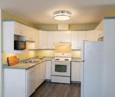 Appartement à louer - Gatineau (Hull) (Plateau de la Capitale) Appa... - Photo 4