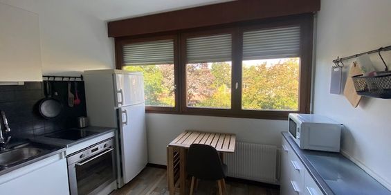 Location Appartement 1 pièce 29m² - Photo 3