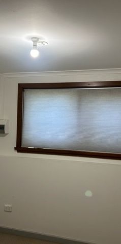 2/38 Nimmitabel Street, Queanbeyan West NSW 2620 - Apartment For Rent | Domain - Photo 1