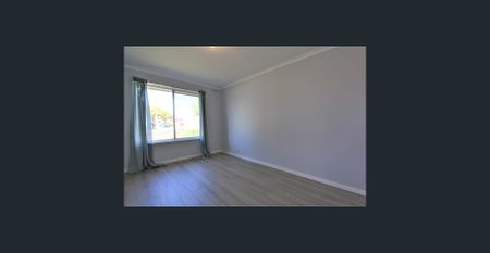 Newly Renovated - Photo 3