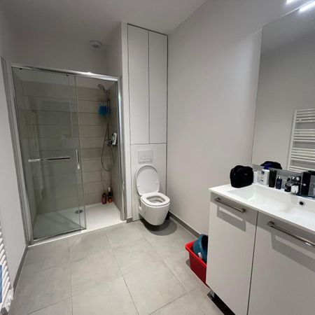 Location Appartement 1 pièce 27m² MULHOUSE 68200 - Photo 3