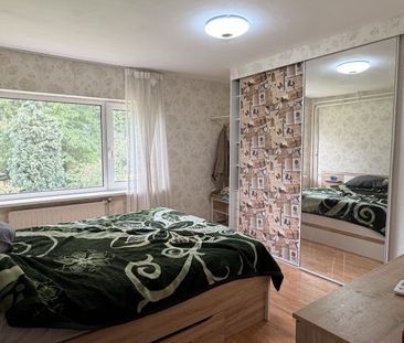 Zwaardvispad - Photo 4
