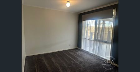 Give me a home among the palm trees! - Photo 4