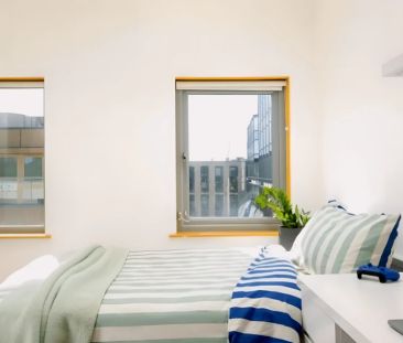 Medium Studio - Photo 1