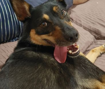 Yarrabilba - Photo 2