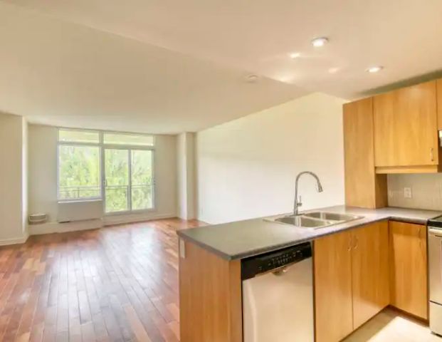 2700 Rue Rufus Rockhead | 2700 Rufus Rockhead, Montreal - Photo 1
