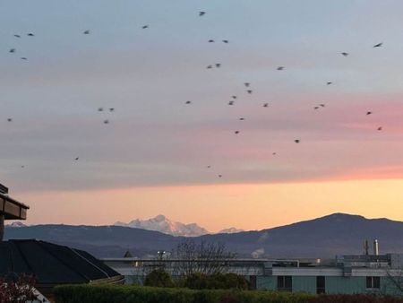 For rent – Magnificent 4.5-room apartment with panoramic views in Nyon - Foto 2