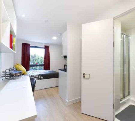 Studio Bronze - Photo 5