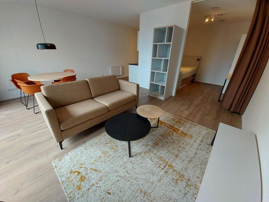 Omegaplantsoen 37 - Foto 1