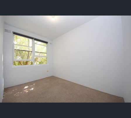 5/165 King Georges Road, Wiley Park, NSW 2195 - Photo 1