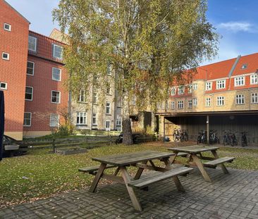 <b>Funktionel 2-værelses lejlighed med rummeligt køkken og lys stue... - Photo 2