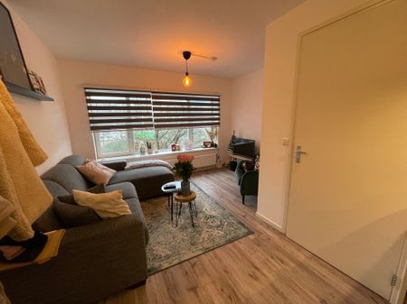 171b, Petrus Campersingel, Gorechtbuurt, Oosterparkwijk, Oude wijken, Groningen, Nederland, 9713 AK, Nederland - Foto 2