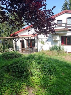 Dom z pięknym ogrodem, 80 m2 + 35 m2 - Zdjęcie 1