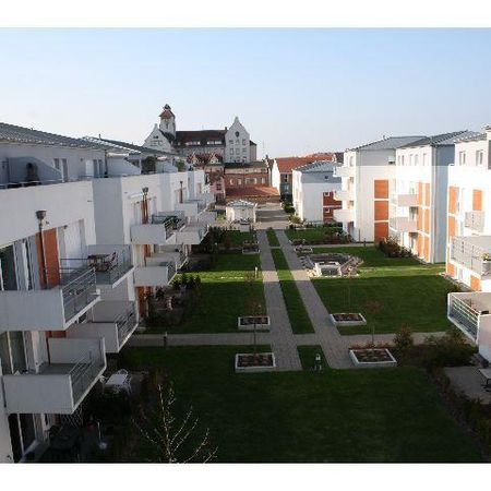 COLMAR CENTRE VILLE - Photo 4