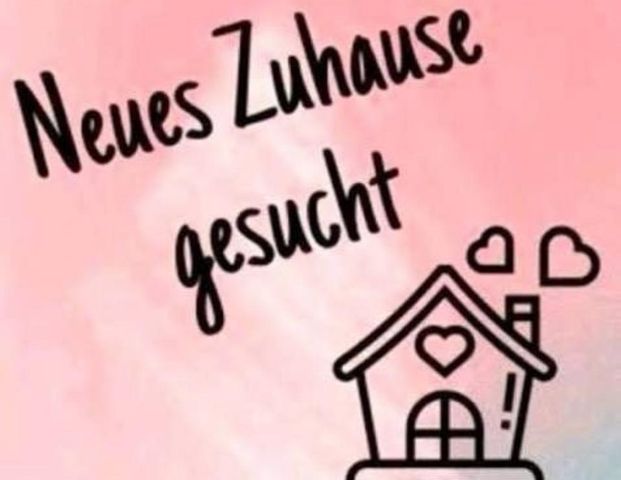 Ein 4 Zimmer Wohnung in Rottweil gesucht - Photo 1