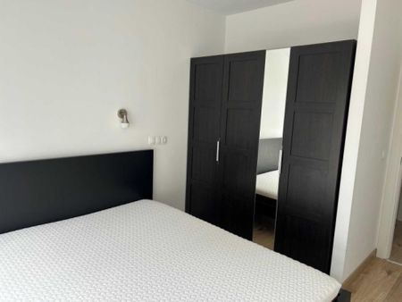 Inchirieri Apartamente 2 camere Bucuresti - Fotografie 3
