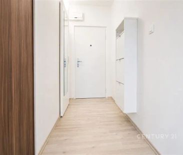 Pronájem útulného bytu 1+KK s balkonem v Žabovřeskách - Fotografie 4