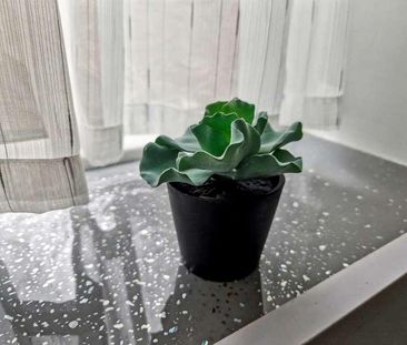 Butterstile Lane, Prestwich, M25 - Photo 2