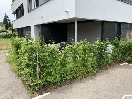 Gemütliche Singlewohnung - Photo 3