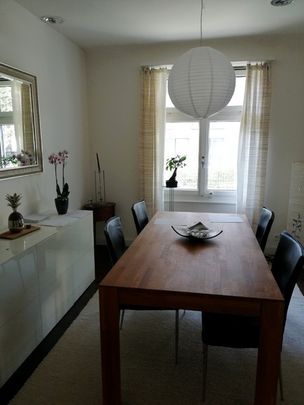APPARTEMENT 4 PIÈCES À BÂLE - ALTSTADT/KLEINBASEL, MEUBLÉ, TEMPORAIRE - Photo 1