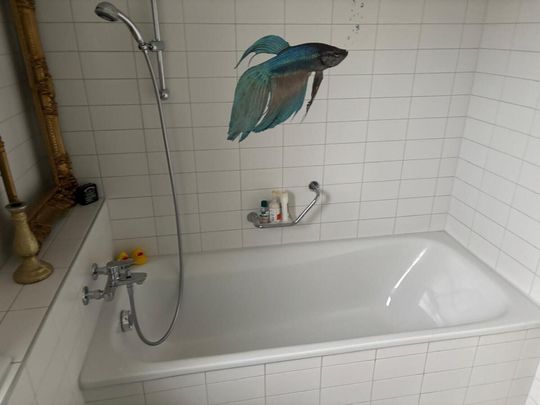 APPARTEMENT 41/2 PIÈCES À BERNE - OSTRING, MEUBLÉ, TEMPORAIRE - Photo 1