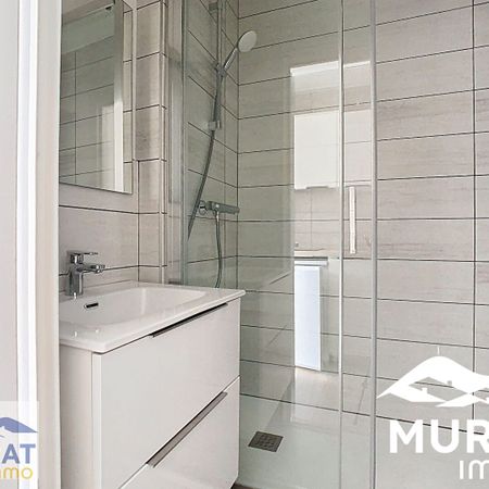 Location Appartement 1 pièce 19m² ROYAT 63130 - Photo 3