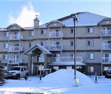 2 Bed Spacious Condo For Rent In Spruce Grove. Two Parking Stalls. - Photo 2