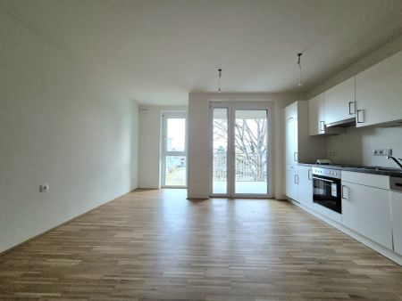 Lebensqualität im Einklang mit der Natur: Jakomini Verde in Graz - ERSTBEZUGSWOHNUNGEN - Photo 2