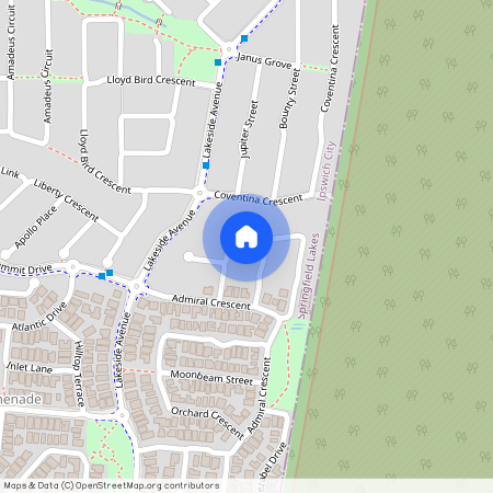 19 Swallowtail Crescent, Qld 4300, Springfield Lakes