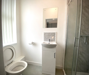 Newly Renovated Studio style en-suite rooms - Photo 6