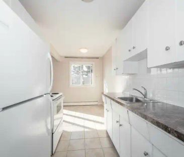 Elmwood Apartments — 1 Bedroom - Photo 1