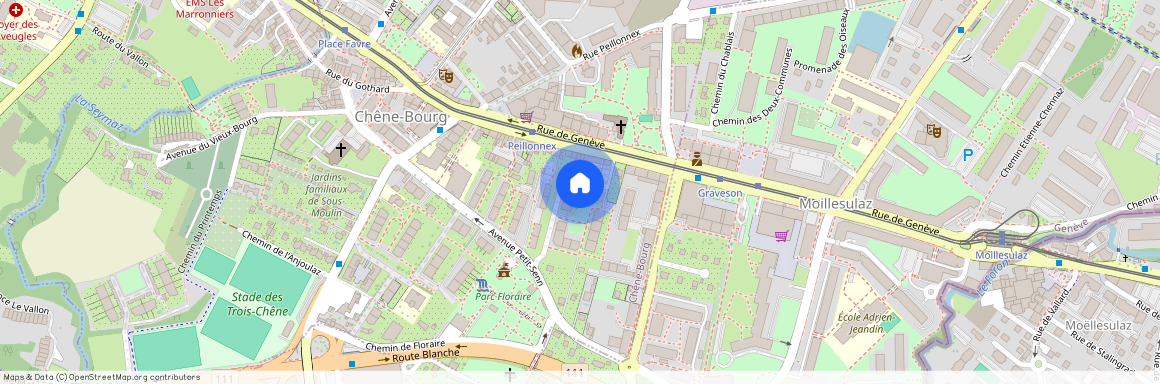 1225, Chêne-Bourg, Avenue du Petit-Senn 41 G, 41g