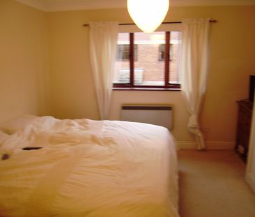 The Beeches, Bury St Edmunds - Photo 4