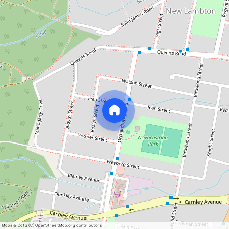 29 Orchardtown Road, New Lambton