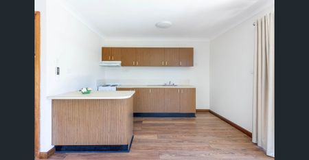 Light-Filled Home in a Peaceful Leafy Setting - Photo 2