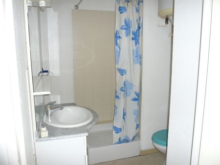 Location Appartement 1 Pièce 17 m² - Photo 4