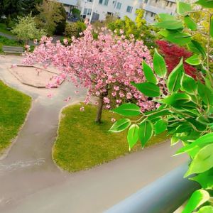 Gånglåten, Västra Frölunda - Photo 3