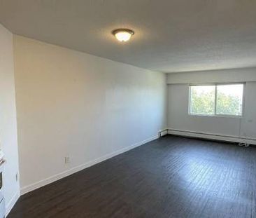 Spacious 1 Bed + Den in Vibrant East Van! PT #305 - Photo 2