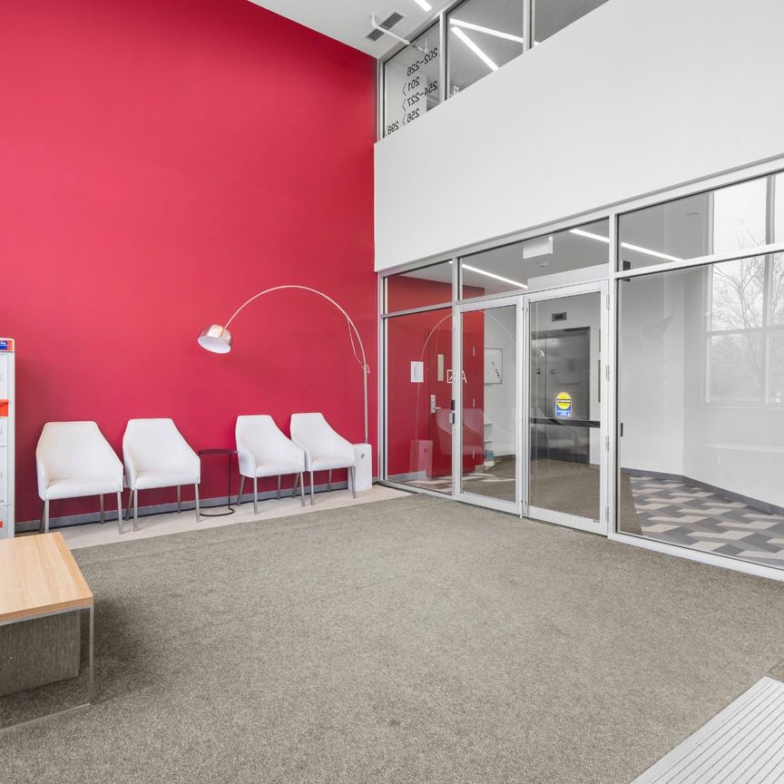 Condo for rent, Montréal (Rosemont/La Petite-Patrie) - Photo 1