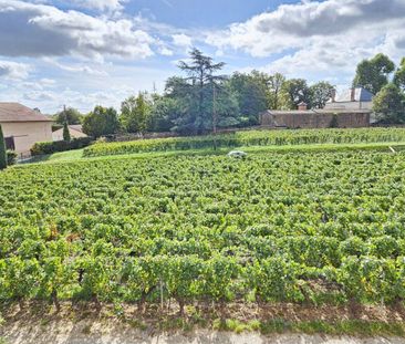 Location appartement 3 pièces 78.37 m² à Chânes (71570) - Photo 2