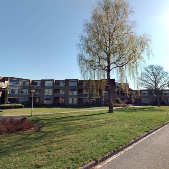 de Swing 36 , Tolbert - Photo 2