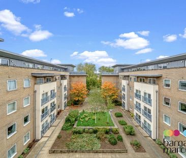 Cline Road - Photo 5