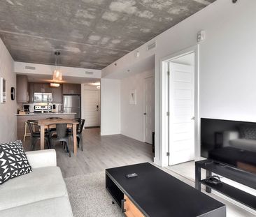 1255 Rue De Bullion apartment — Montréal, QC (1-Bedroom) - 1 Bedroom - Photo 6
