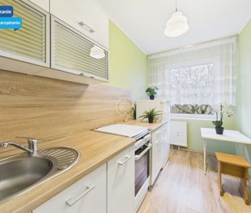 kawalerka na wynajem - Photo 1