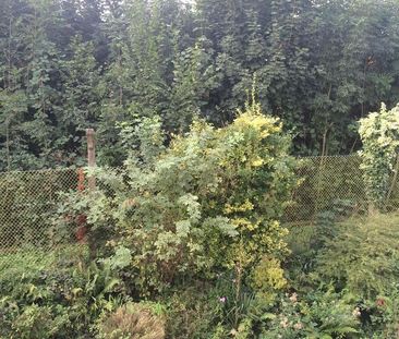 1-Zimmer Appartment, schön aufgeteilt -mit Einbauküche- zu vermieten - Photo 1